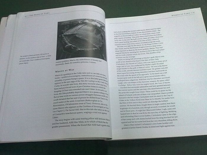 The book of Tara Ireland Irish Co. Meath local history by Michael Slavin
