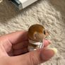sylvanian Image 4