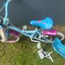 frozen bike Image 3