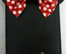 NEW Minnie Mouse iPad Cover 5 euro