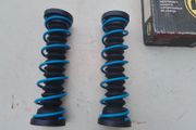 Auxiliary Springs VW.