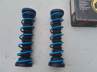 Auxiliary Springs VW.