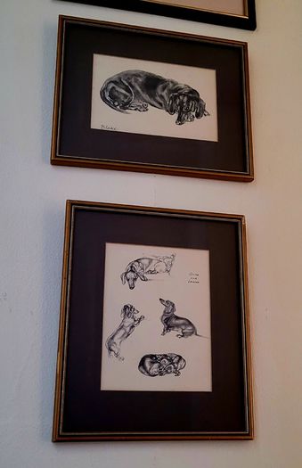 Vintage pair of dachshund prints