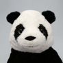 Panda Teddy Soft Toy 30cm Image 5