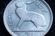 Ireland - 1953 - 3 Pence - Hare - UNC - KM.12a - [2778]