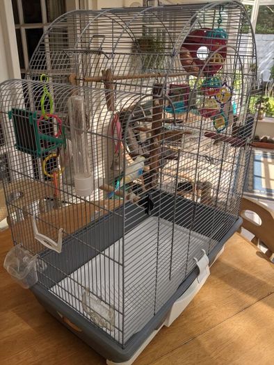 Bird cage