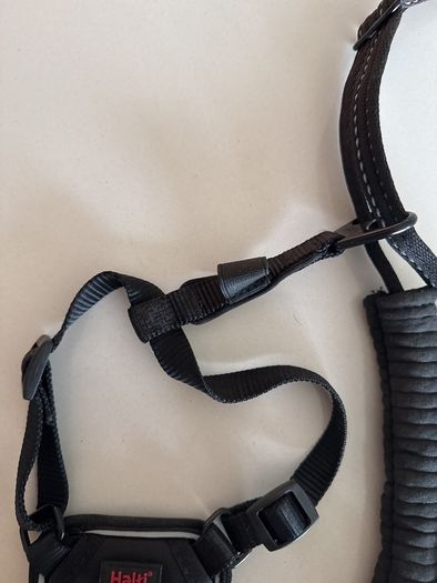 Halti No Pull Harness - small