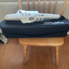Roland ae10 aerophone.with its own fully padded Roland case