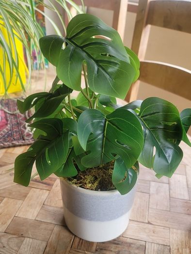 Artificial Monstera Plants in Ceramic Pots x 2