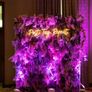 Premium Flower & Shimmer Walls for Hire Image 10