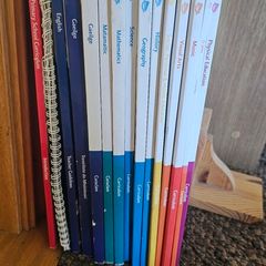 1999 Primary Curriculum Books