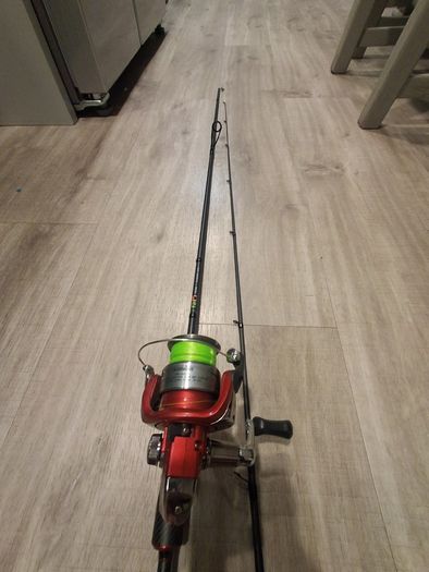 Fishing rods with reels