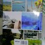 WILD DUBLIN 184 page Hardback by Eanna Ni Lamhna 6 euro Image 2