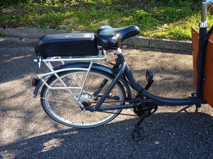 Cargo electric bike