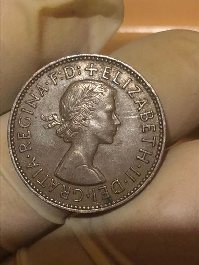 Elizabeth Halfpenny  x28 Pictures of each coin