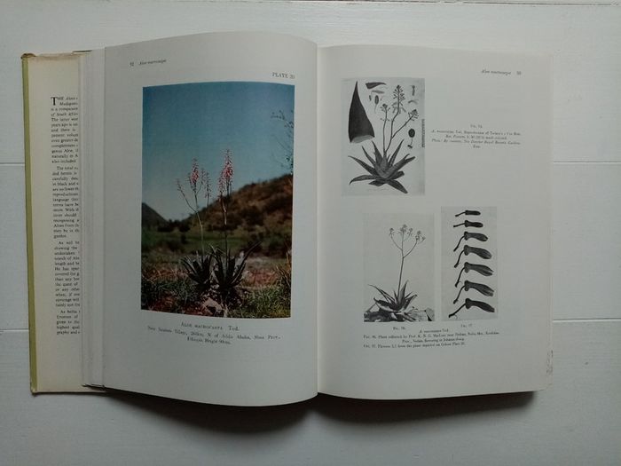 The Aloes of Tropical Africa and Madagascar (1966)  - Plant Book - Botany Book - Nature Book
