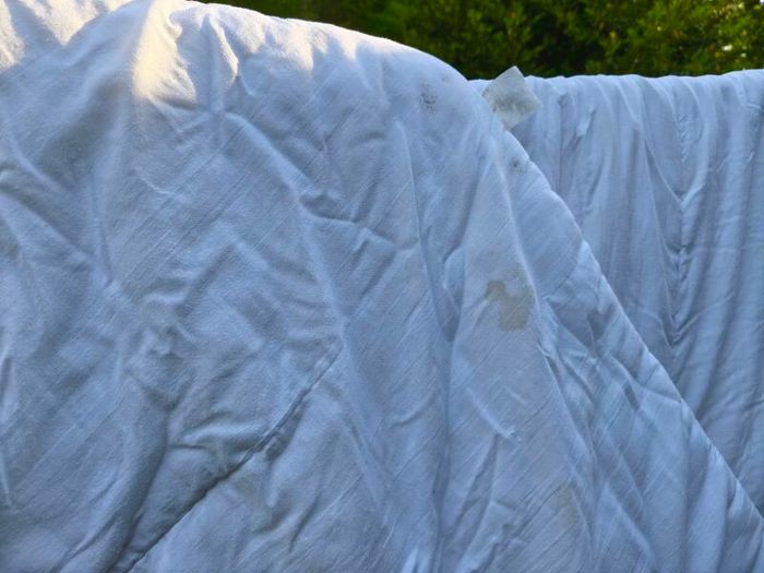 two double duvets, coffee stained but good for pets