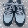 Grey Nike Air Max Image 2