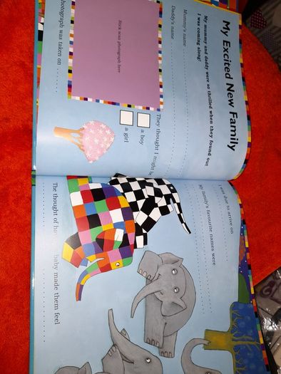 Elmer Baby record book