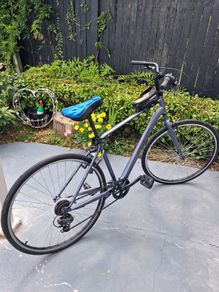 Monty bike