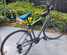 Monty bike
