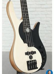 Bass guitar