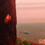 Ramshorn Snails Image 2