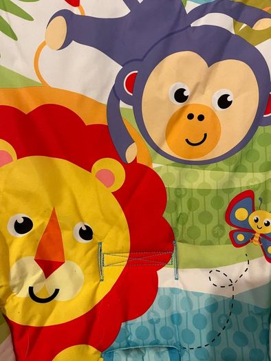 Fisher Price Baby Bouncer