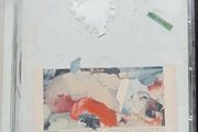 Antony and the Johnsons - Swan lights CD