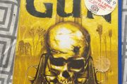 gun ps2