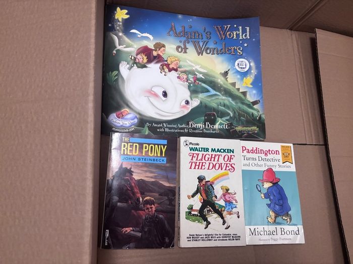 28 Children Books in Great Condition (3 euros each)