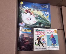 28 Children Books in Great Condition (3 euros each)