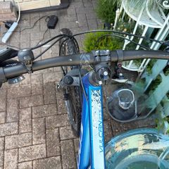 adult bike
