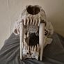 1/1 resin copy of a saber tooth cat skull. Image 6