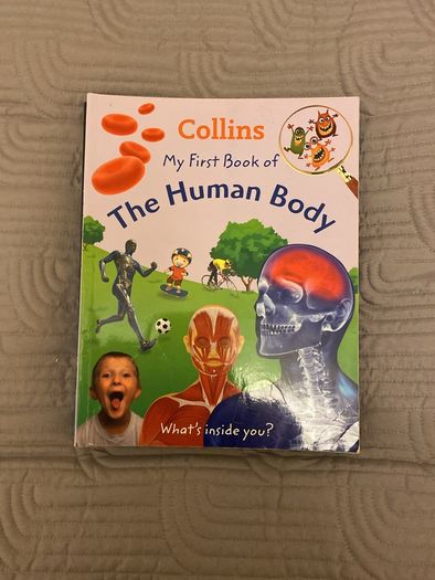 Collins My First Book of (7 books)