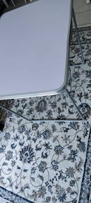 fold up table