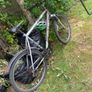raleigh bike Image 2