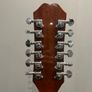 12 String Epiphone Electric-Acoustic Guitar Image 4