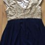 Beautiful Occasional Maxi Dress Size 22 Image 4