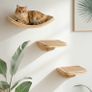 Cat Wall Furniture Climbing Perch very strong Image 2