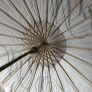 Mr and Mrs Wedding Umbrella Image 4