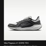 Nike Pegasus 41 goretex Image 2