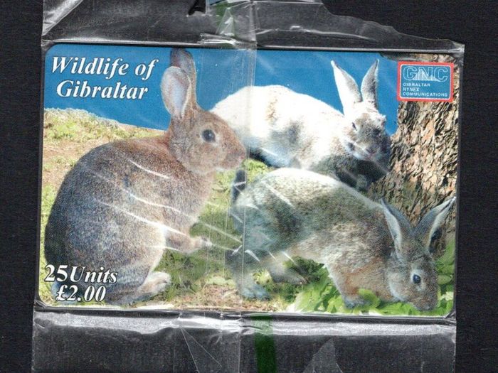 2001 Gibraltar 20 unit Wildlife of Gibraltar  Rabbit (Siemens - S5 (Module 33)) Phonecard New in Packaging