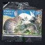 2001 Gibraltar 20 unit Wildlife of Gibraltar  Rabbit (Siemens - S5 (Module 33)) Phonecard New in Packaging Image 3