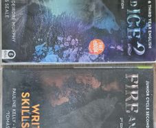 Fire and Ice 2 Junior Cycle English Textbook & Writing Skills Book