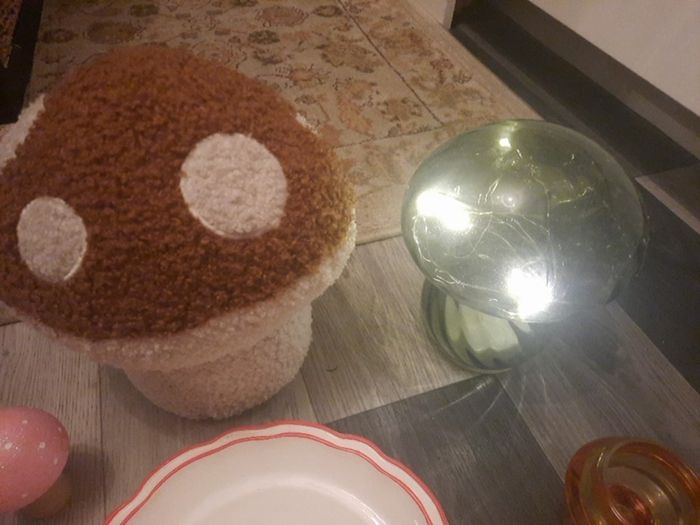 mushroom collection