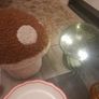 mushroom collection Image 4