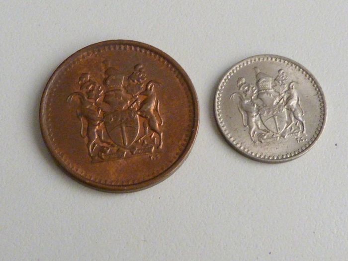 Rhodesia pair
