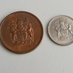 Rhodesia pair