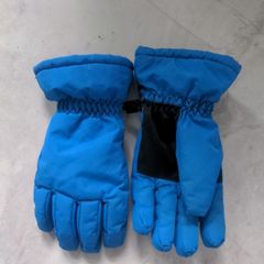 Ski Gloves